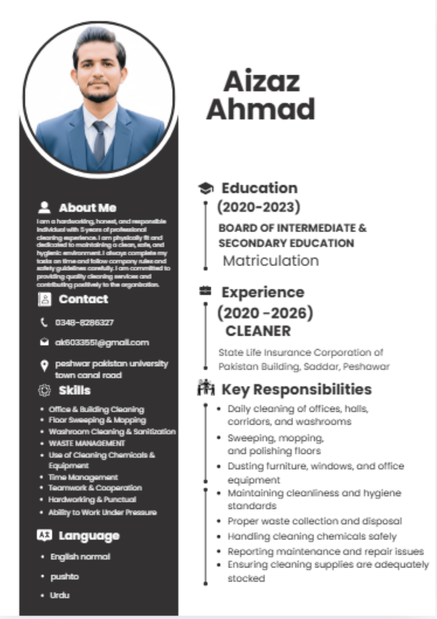 Modern ATS Friendly CV Design for Job Applications - Trust Collection